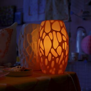 Organic Lamp